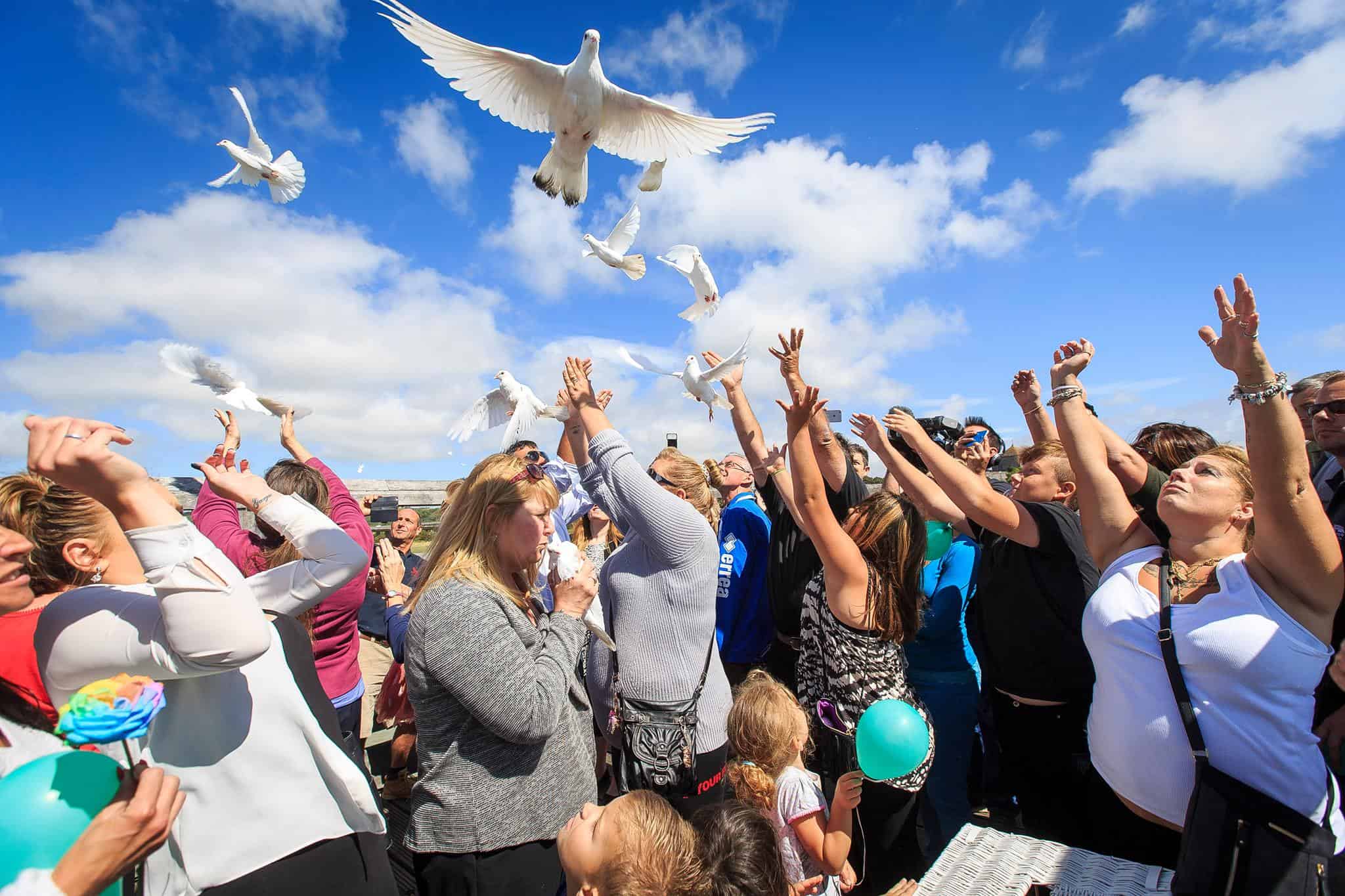 Sussex Dove Release 2
