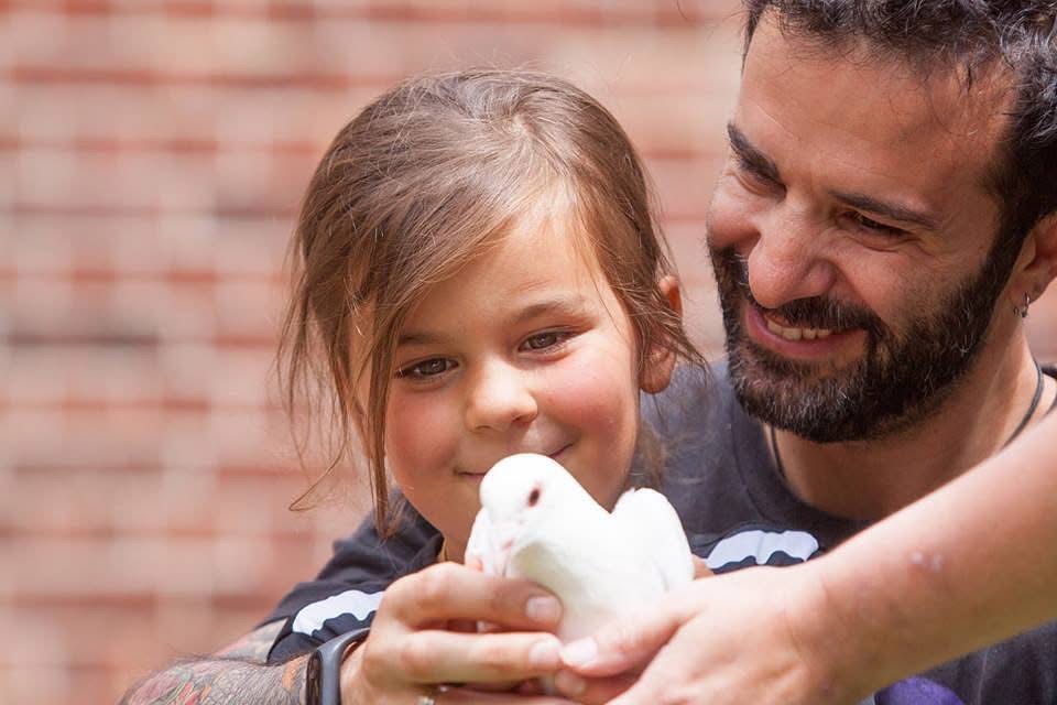 Sussex Dove Release 1