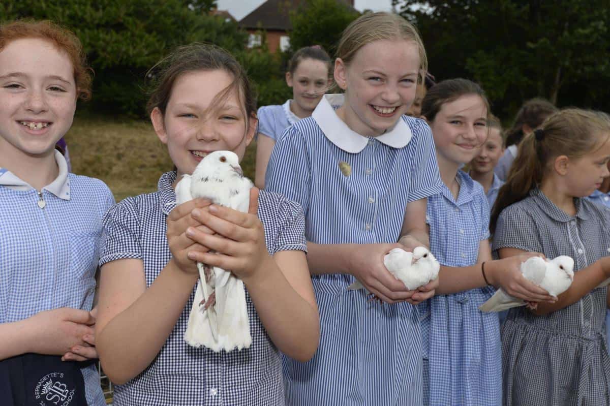 Sussex Dove Release 4